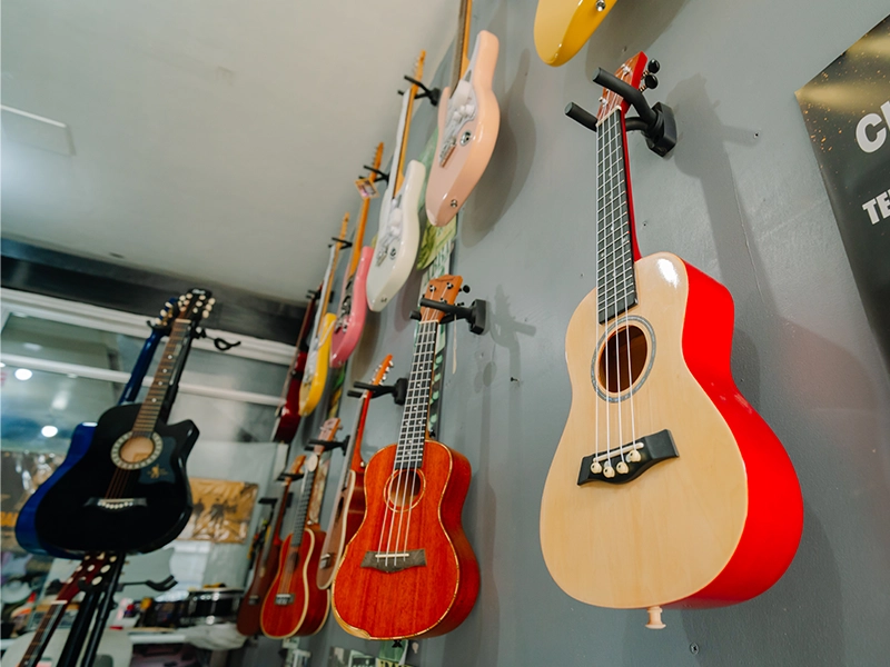 Music Instrument Shop